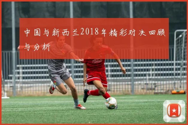 中国与新西兰2018年精彩对决回顾与分析