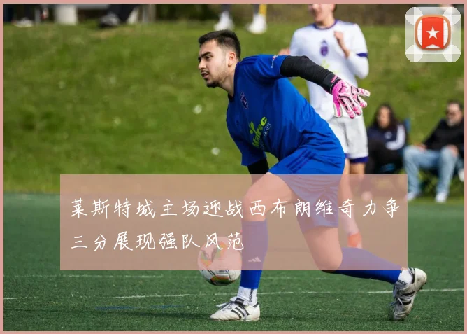 莱斯特城主场迎战西布朗维奇力争三分展现强队风范