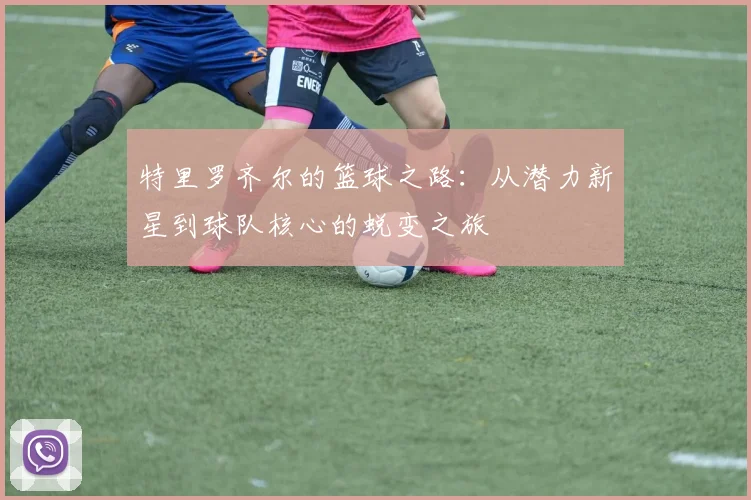 特里罗齐尔的篮球之路：从潜力新星到球队核心的蜕变之旅