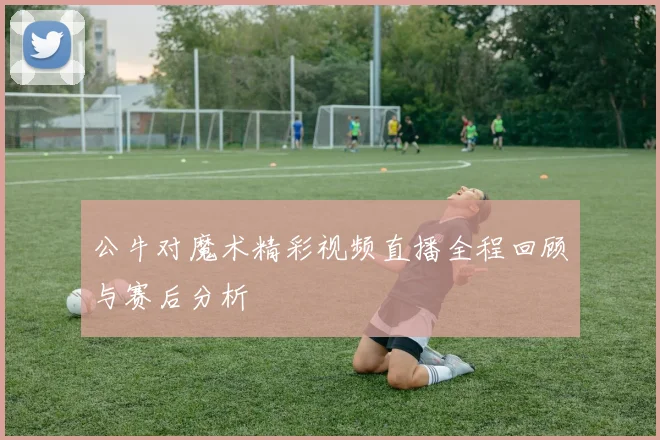 公牛对魔术精彩视频直播全程回顾与赛后分析