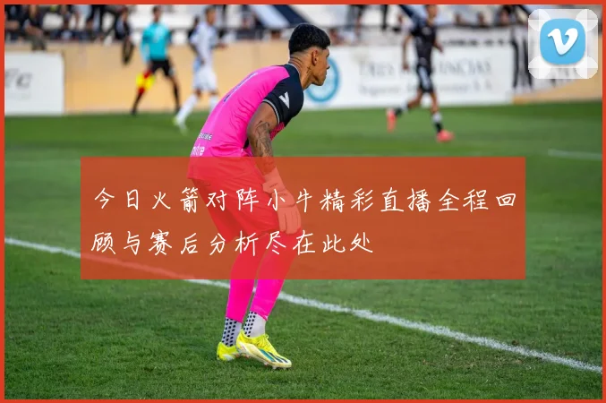 今日火箭对阵小牛精彩直播全程回顾与赛后分析尽在此处