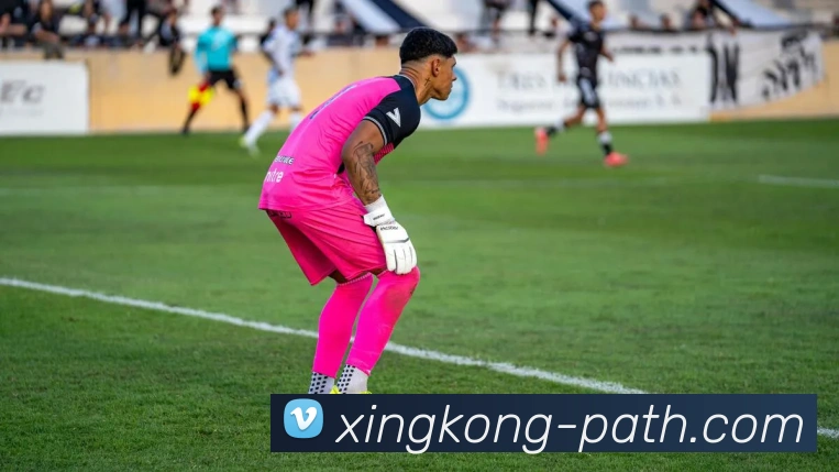 星空体育APP 封面图